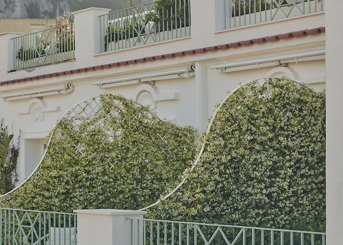 La Palma, Oetker كابري