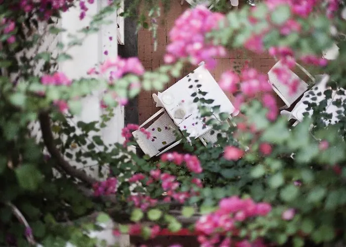 La Palma, Oetker 5* كابري